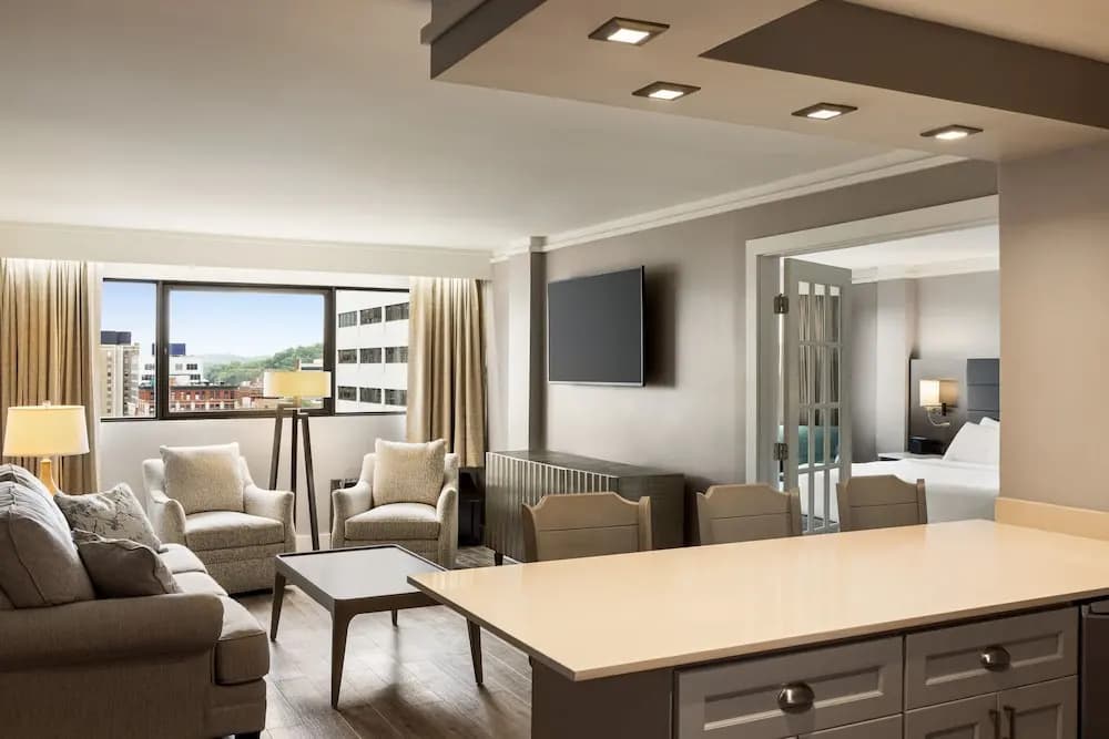 1 Bedroom Suite