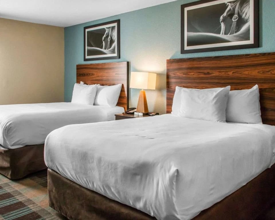 1 Bedroom Quadruple Suite
