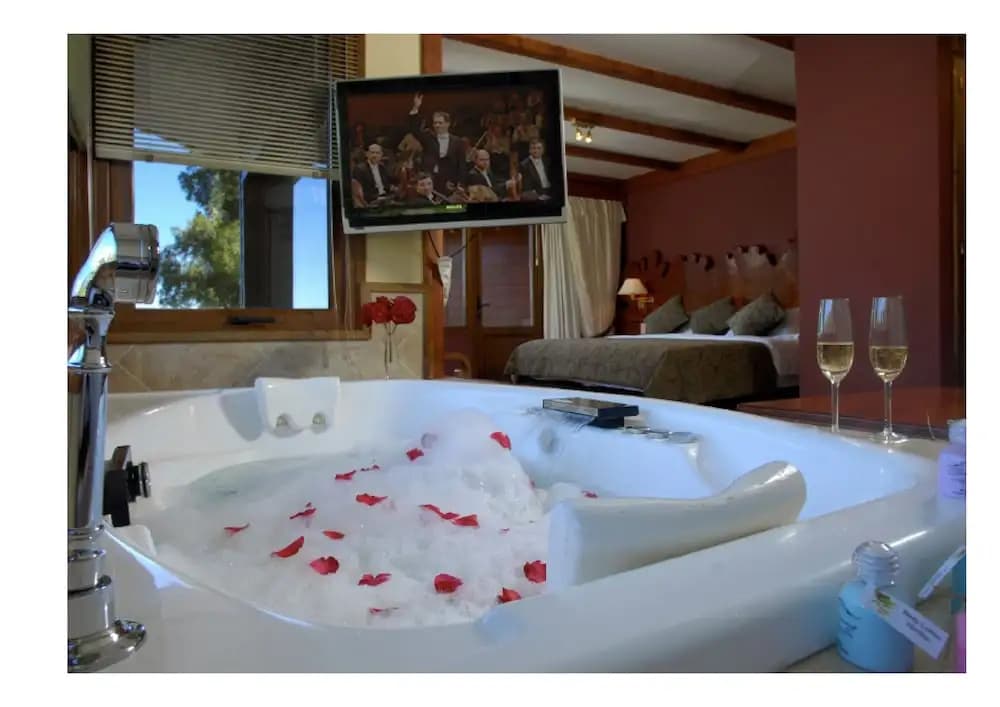 1 Bedroom Standard Double room with balcony and with lake view full double bed
