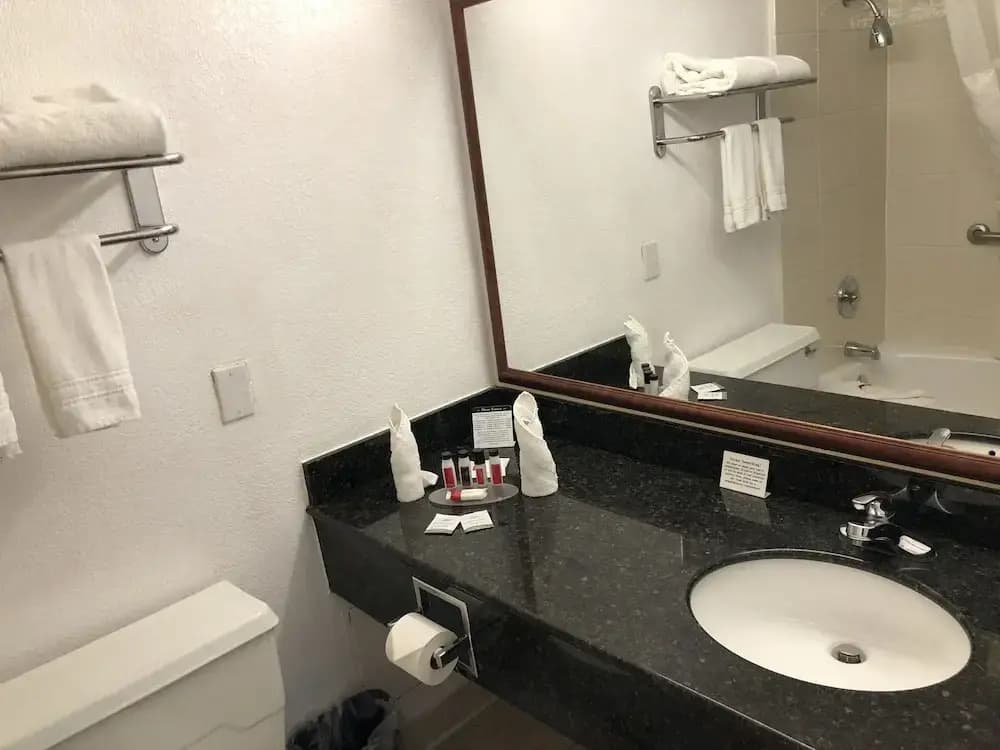 Hotel photo 8