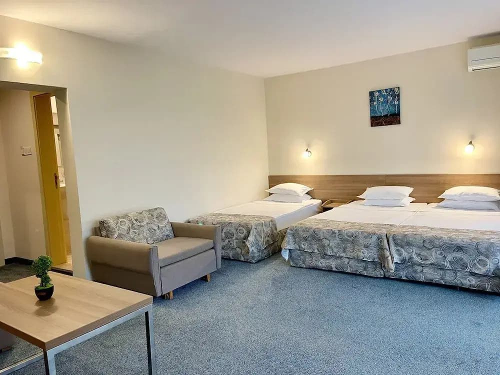 Standard Double Family room with balcony full double bed