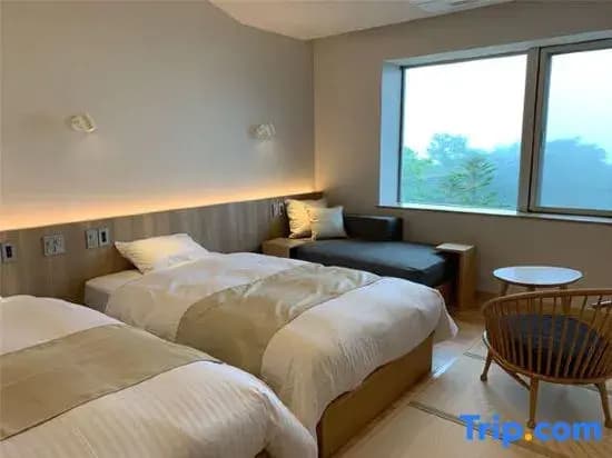 Standard Double room with mountain view twin beds