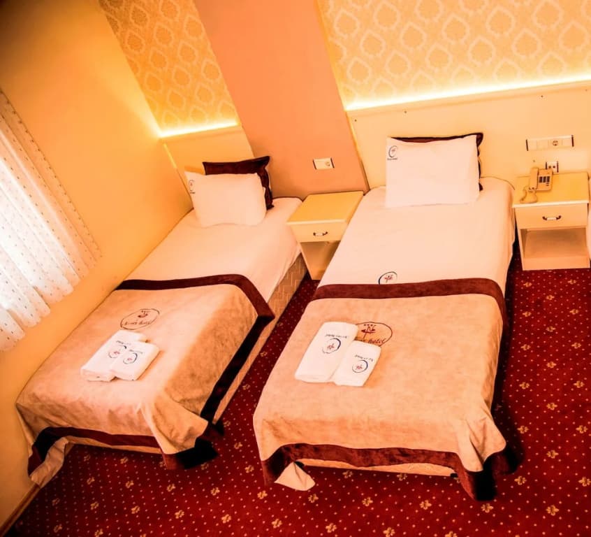 Economy Double room with city view twin beds