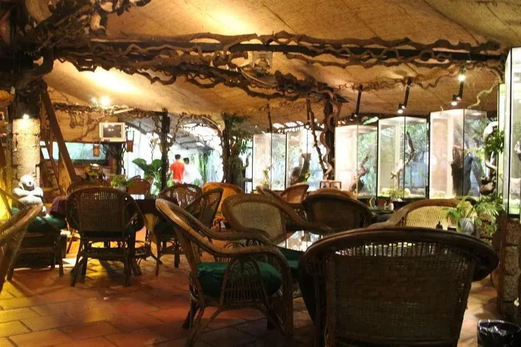 Hotel photo 12