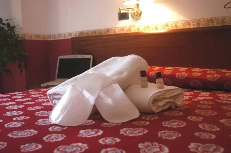 Standard Double room twin beds