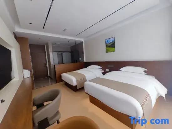Deluxe Double room twin beds