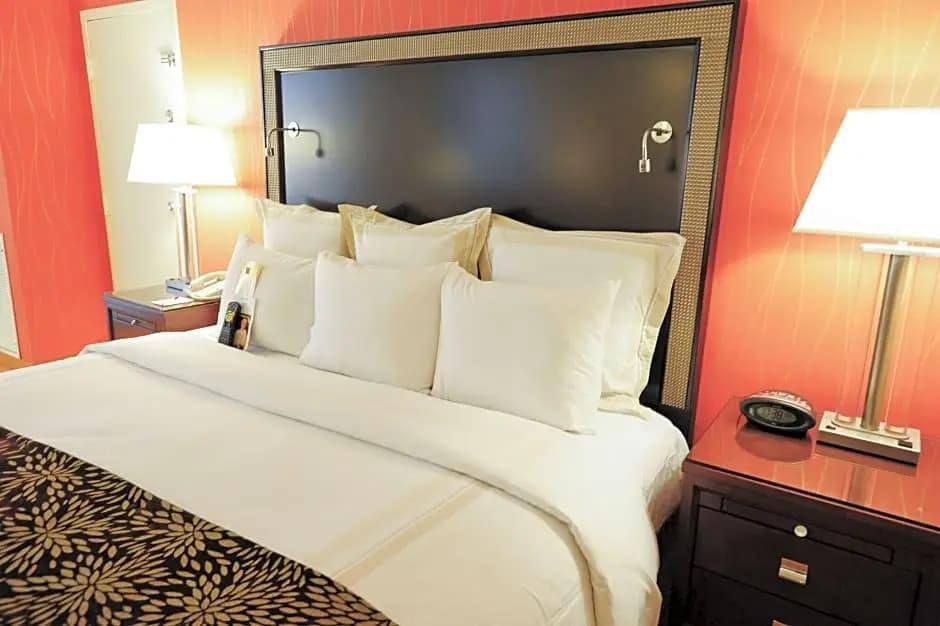 1 Bedroom Double Suite full double bed