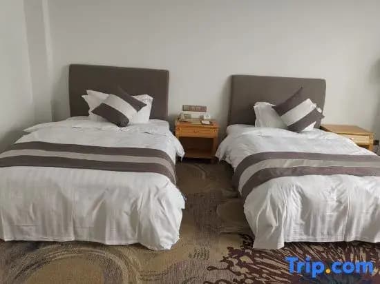 Standard Double room twin beds