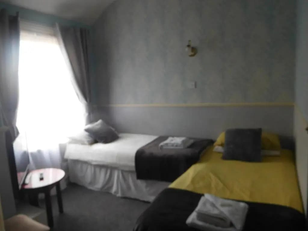 Standard Double room twin beds