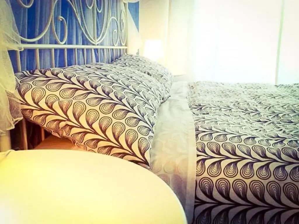 Standard Double room full double bed