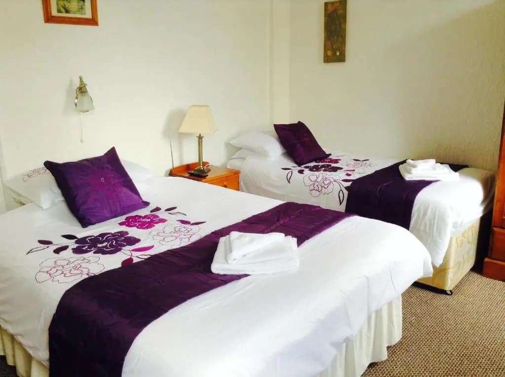 Standard Double room twin beds