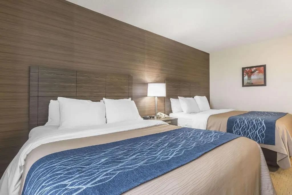 Deluxe Quadruple Basement room