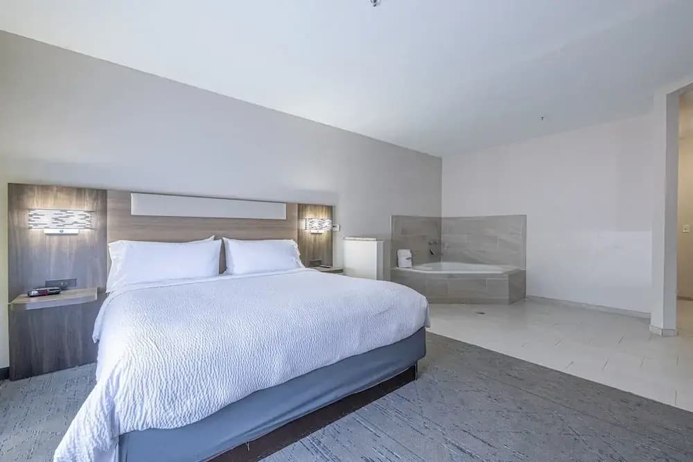 1 Bedroom Suite