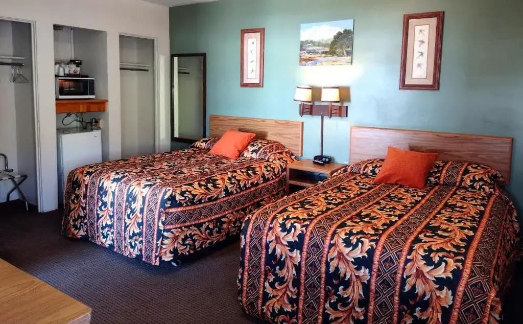 Deluxe Double room twin beds