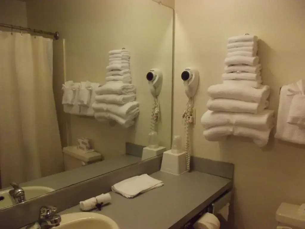 Deluxe Junior Suite
