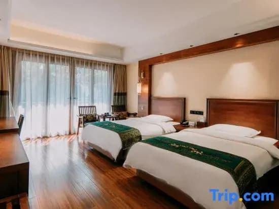 Deluxe Double room twin beds