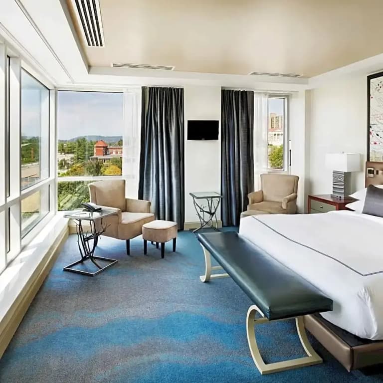 1 Bedroom Suite