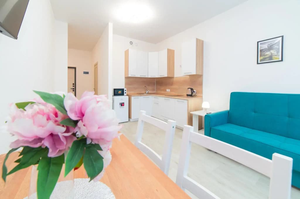 1 Bedroom Apartment with balcony