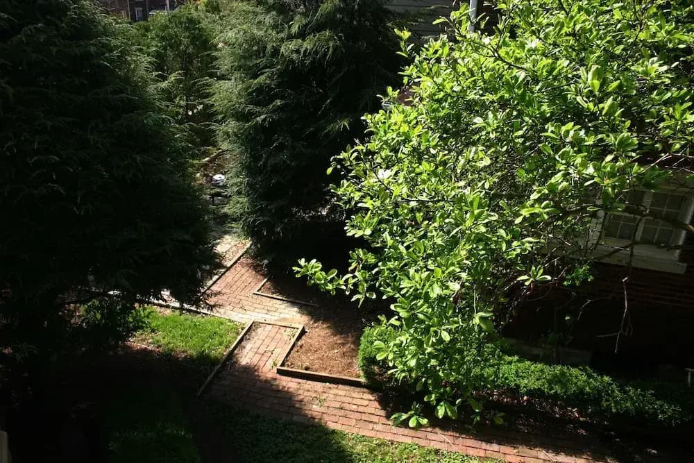 Hotel photo 38