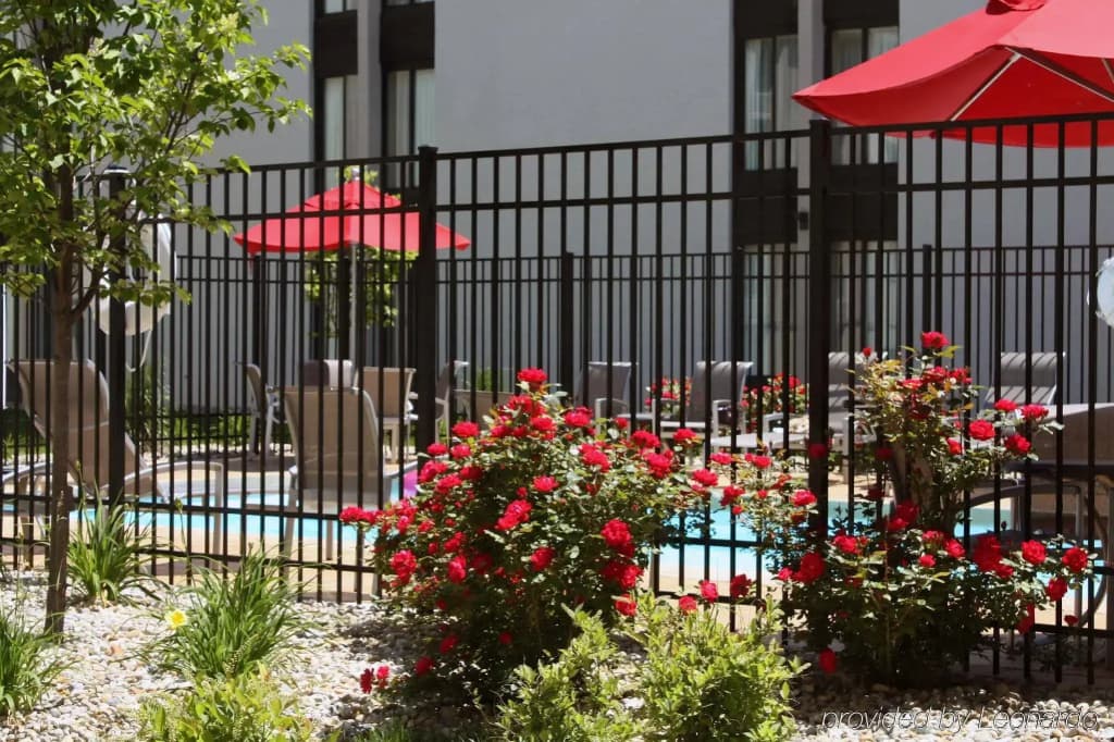 Hotel photo 17