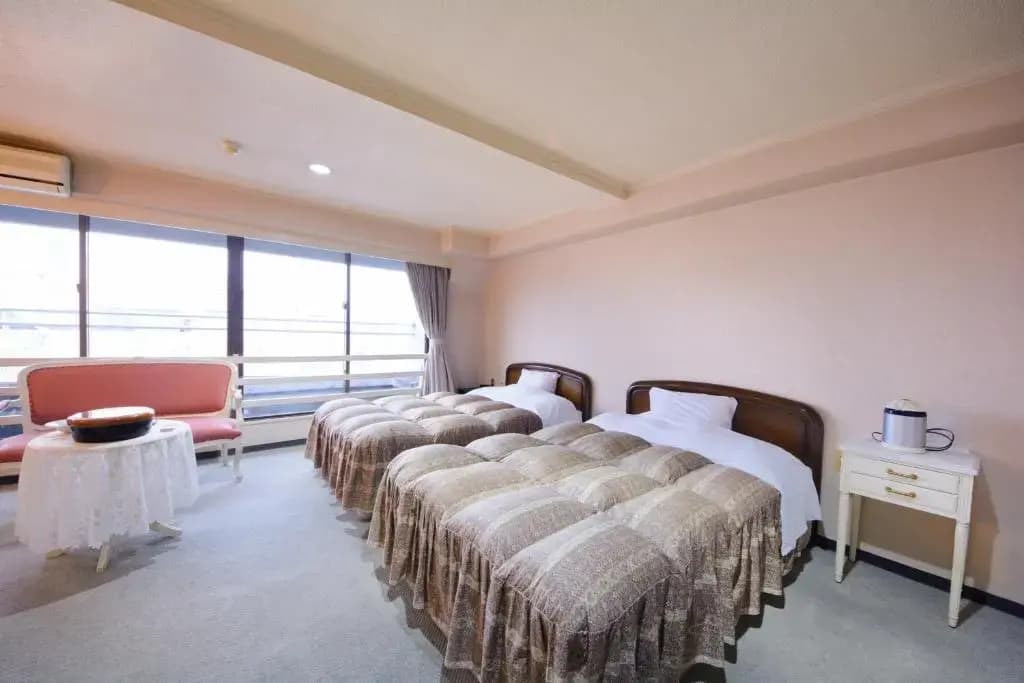 Standard Double room twin beds
