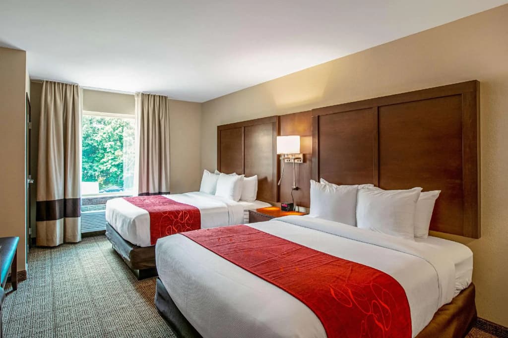 Quadruple Suite