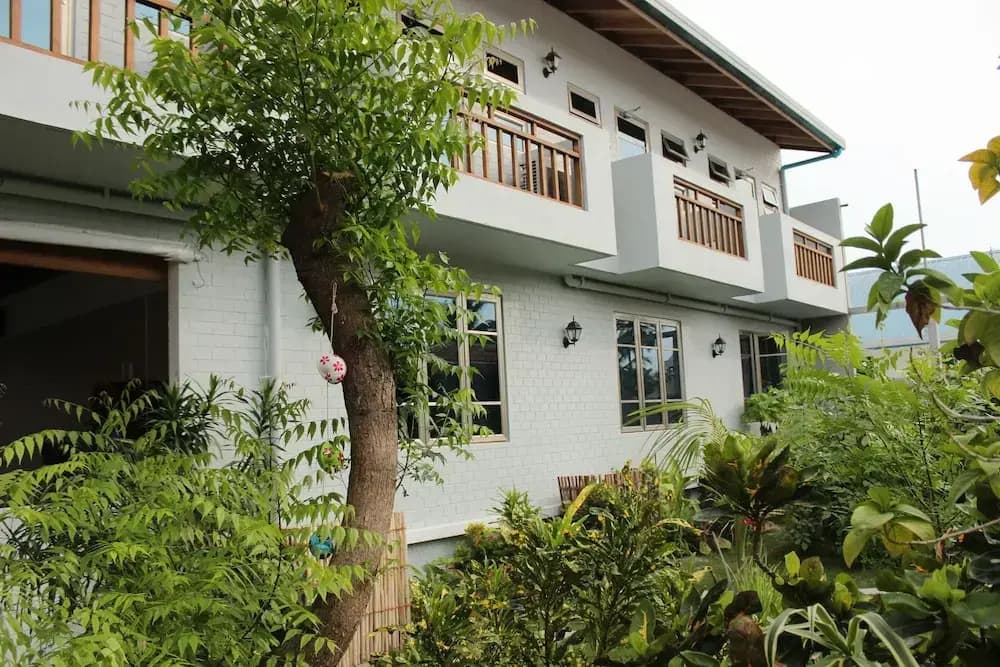 Deluxe Single room with garden view