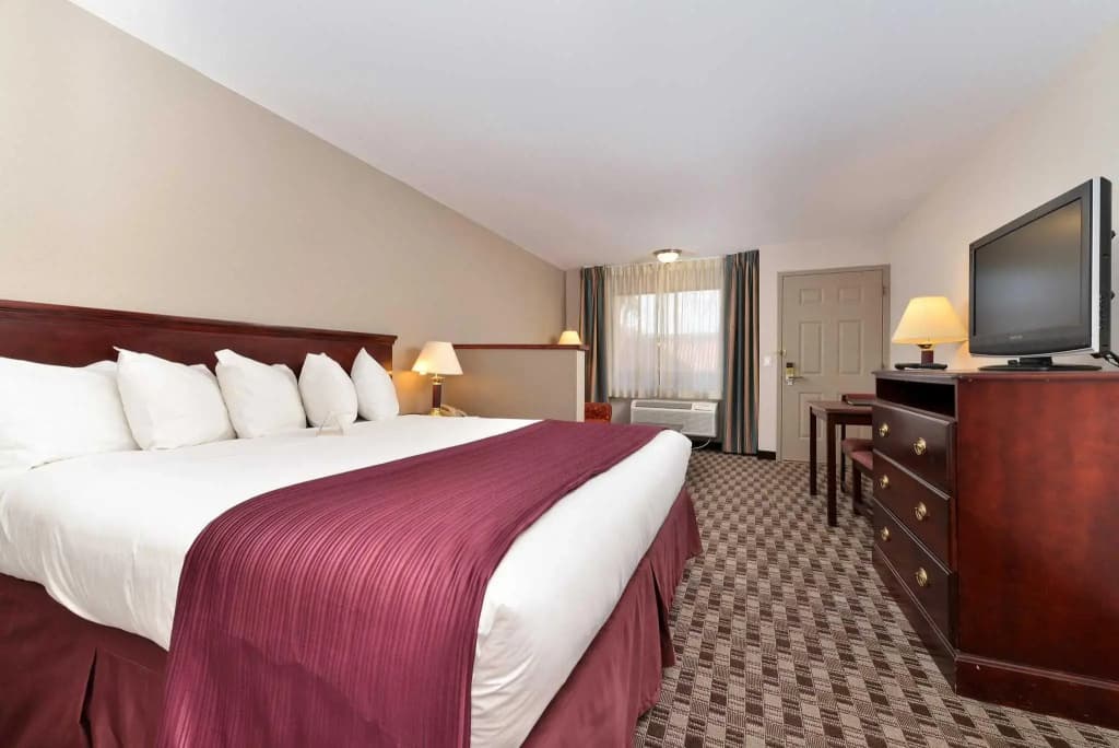 1 Bedroom Suite