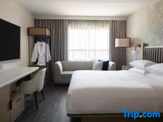 1 Bedroom Club Suite