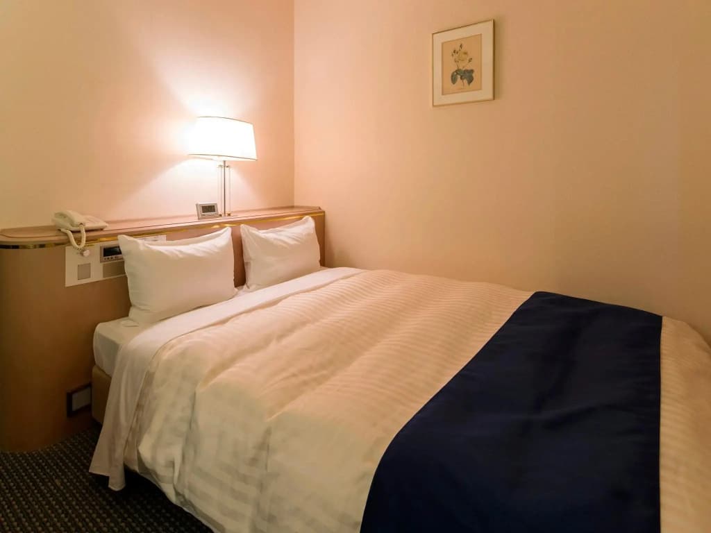 Standard Double room full double bed