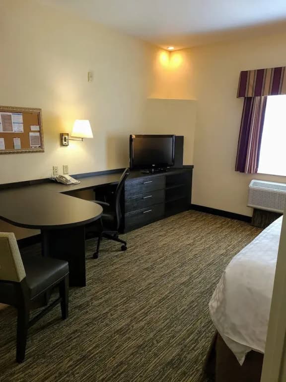 1 Bedroom Suite