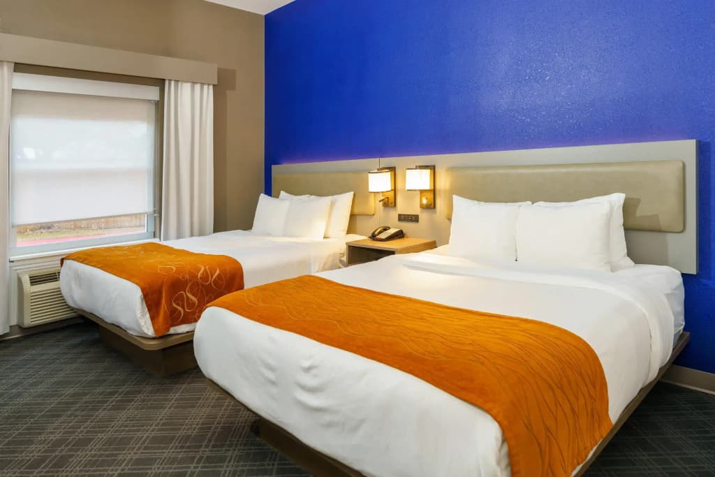Quadruple Suite