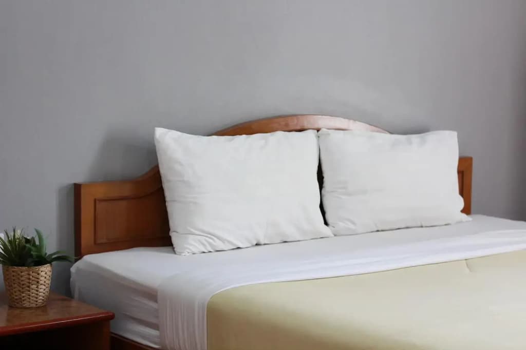 Standard Double room full double bed