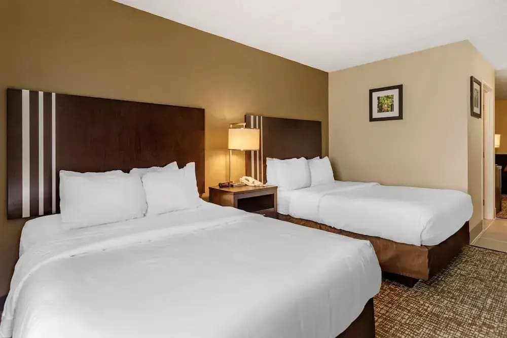 1 Bedroom Suite