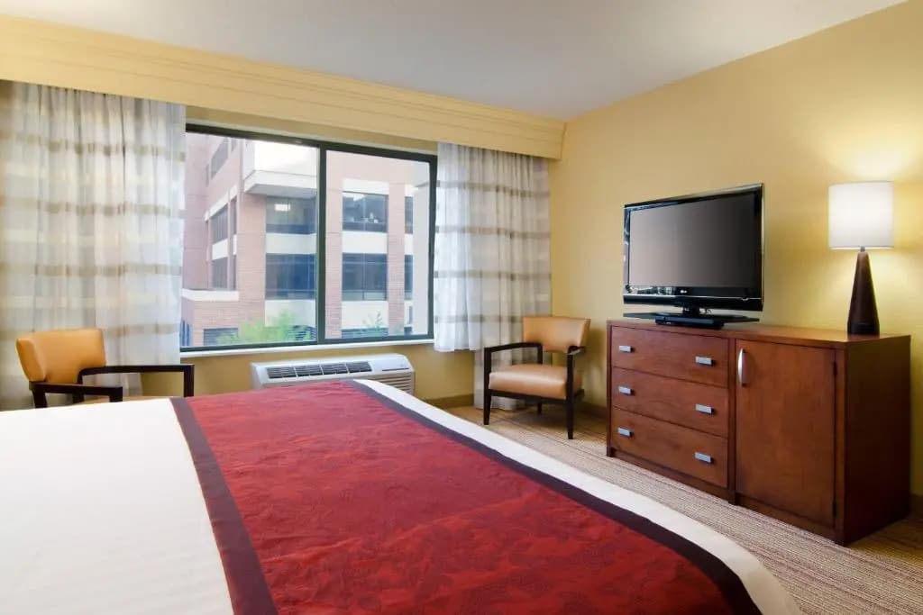 1 Bedroom Double Suite full double bed