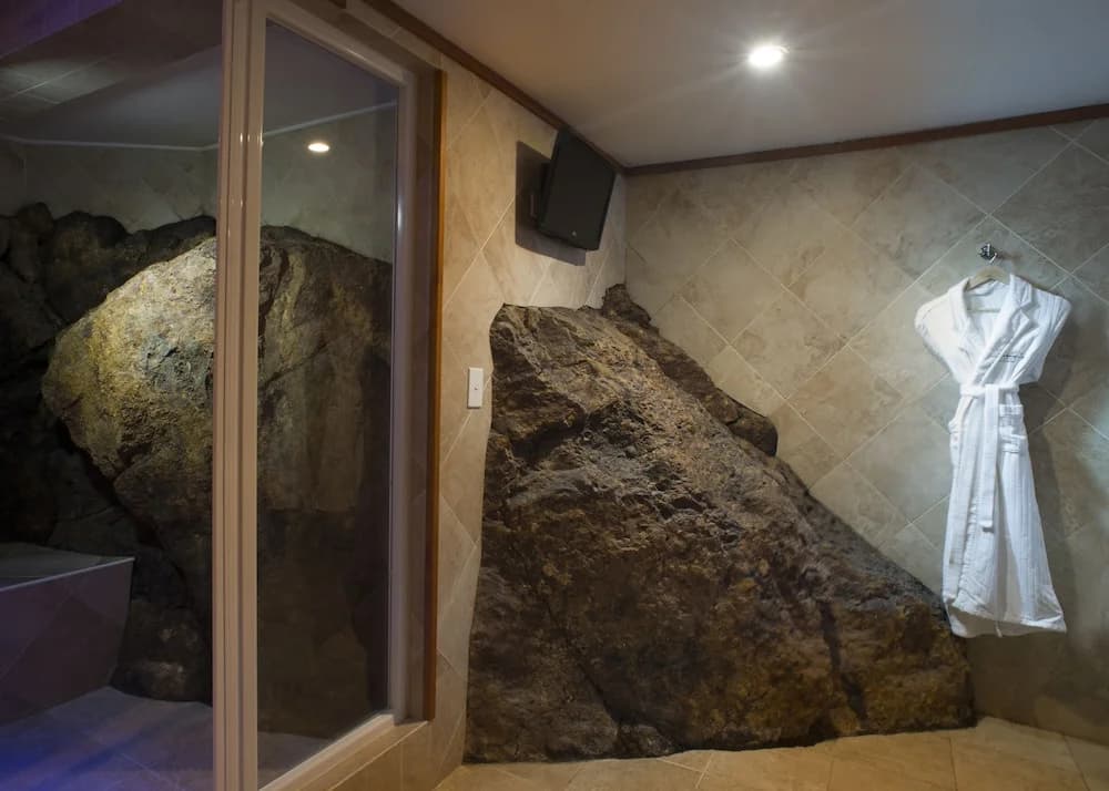 1 Bedroom Suite with balcony and with lake view