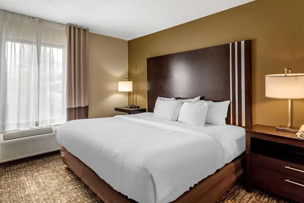 Business Suite