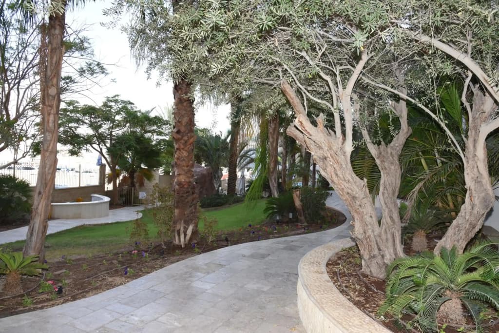 Hotel photo 31