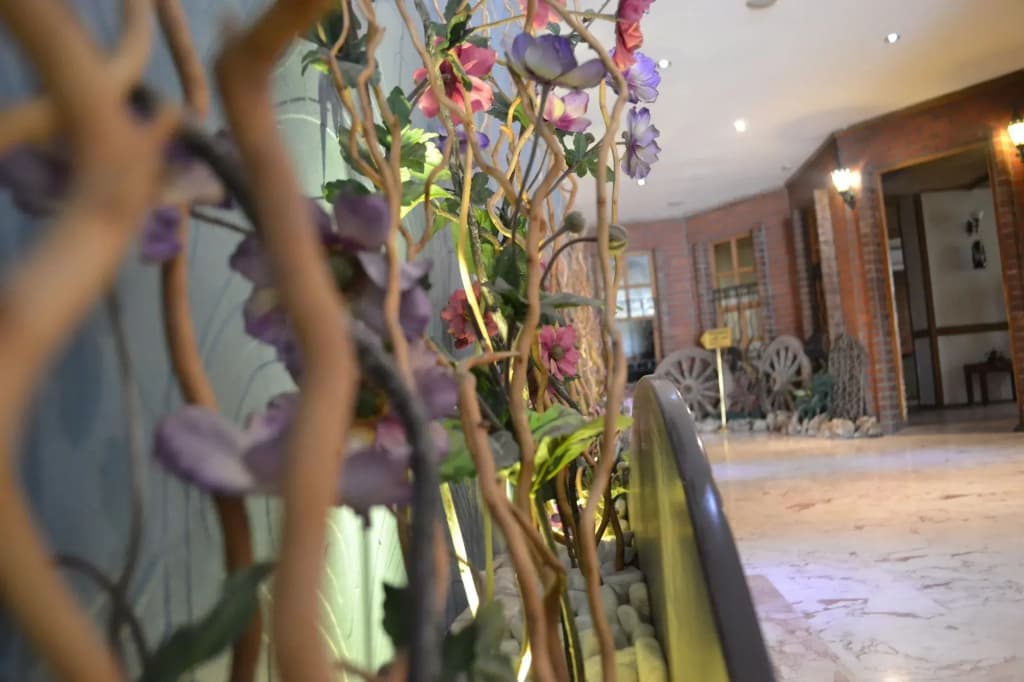 Hotel photo 17