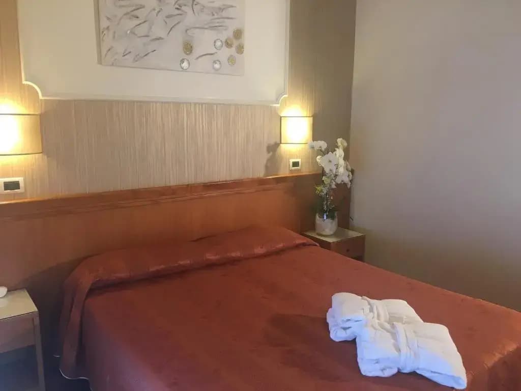 Standard Double room full double bed