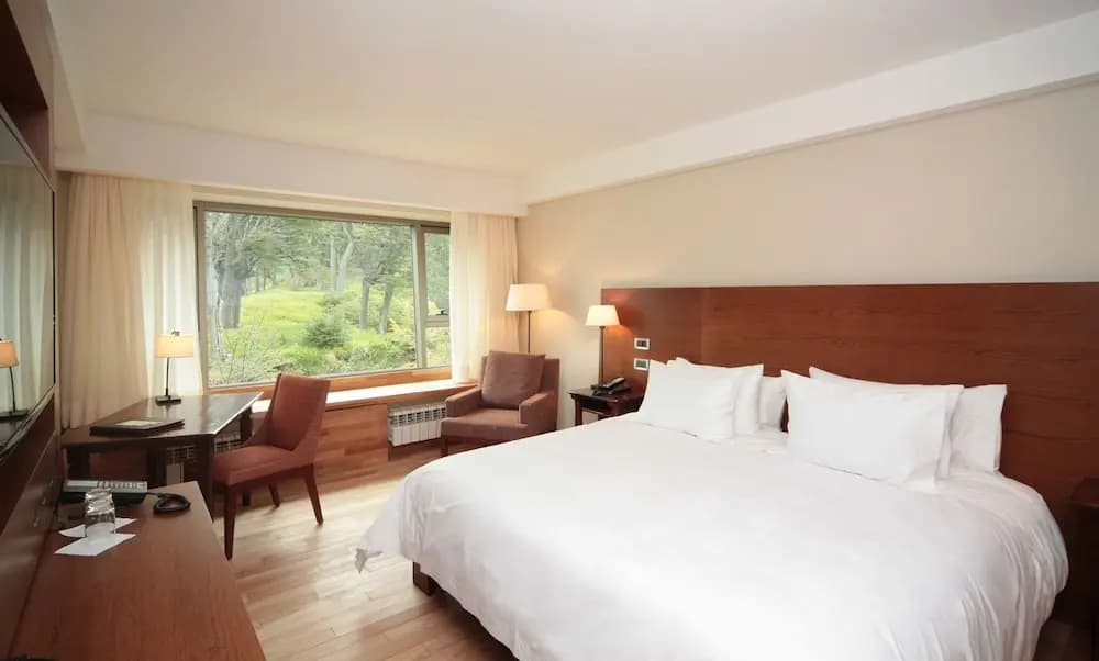 Superior Double room with view full double bed
