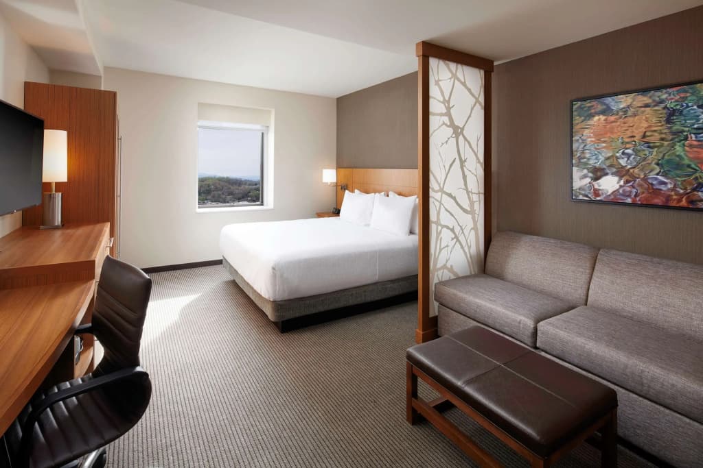 Double room (plus sofa bed) full double bed