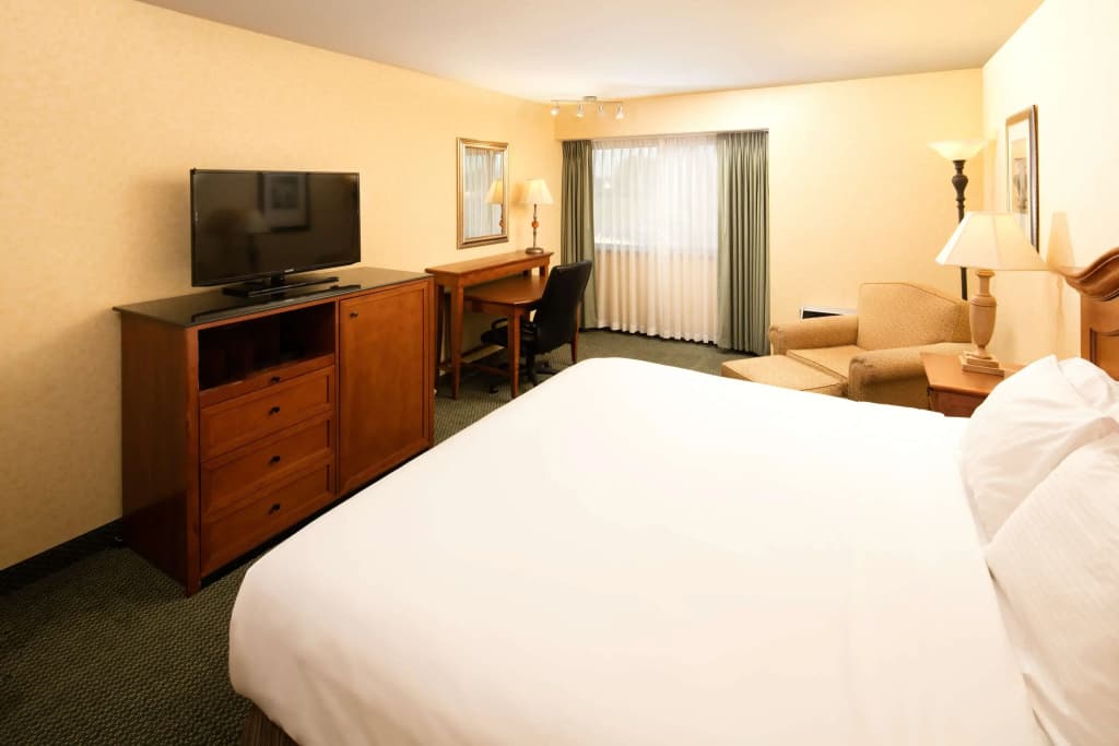 Standard Double room full double bed