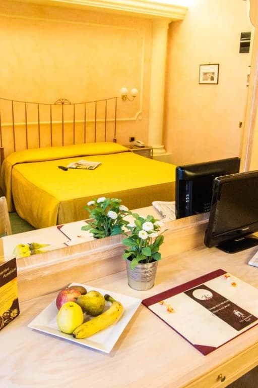 Standard Double room full double bed