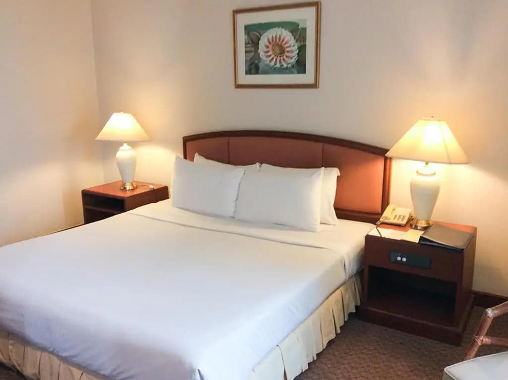 Deluxe Double room full double bed