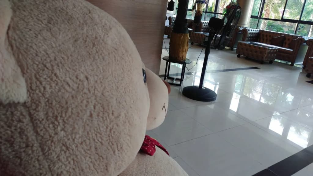 Hotel photo 15