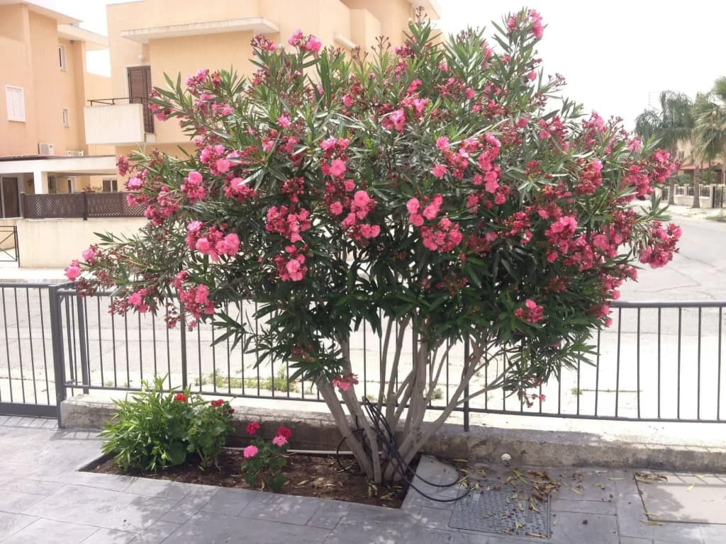 Hotel photo 44