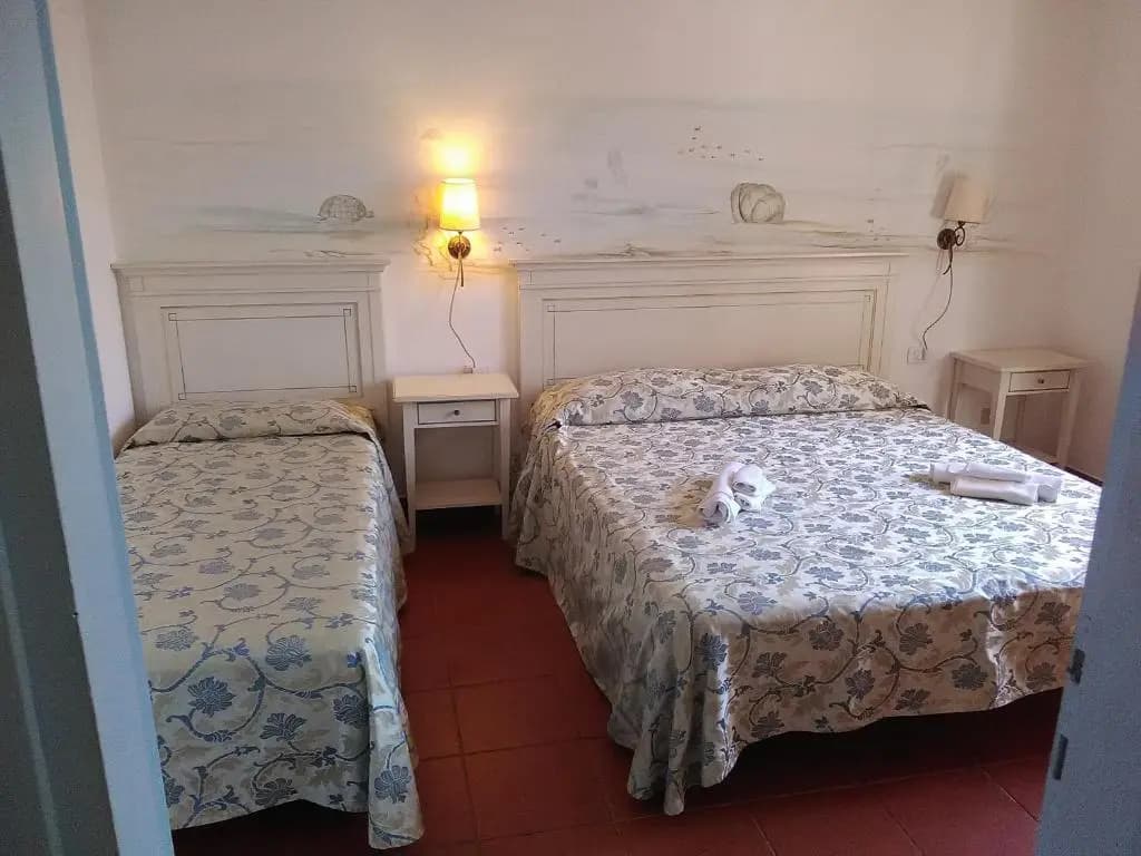 Standard Apartment