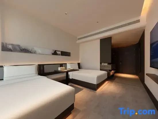 Executive Double room twin beds