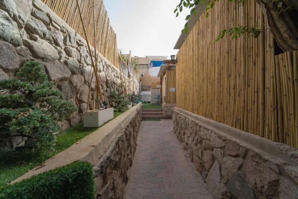 1 Bedroom Basement Apartment